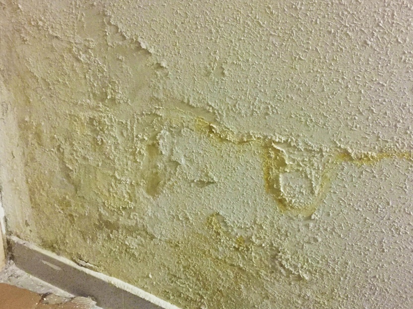 ¿Cuánto costaría arreglar una pared con humedad?